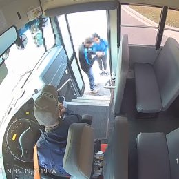 Video Shows Hero Bus Drivers Rescuing Toddler After Wild Carjacking