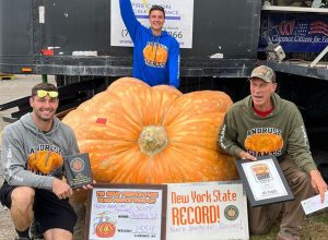 Video Shows the Record-Beating 2,554-Pound Monster Pumpkin