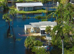 Hurricane Ian Unleashed This Flesh-Eating Bacteria