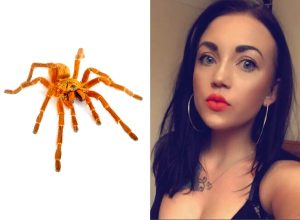 Terrified Mother Finds an Aggressive Tarantula ”the Size of My Hand” in Front of Her House