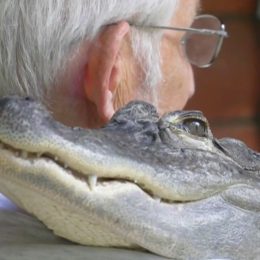 Pennsylvania Man’s Alligator Becomes Emotional Support Animal. “I’d Wake up and He’d Be Laying on My Head.”