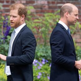 The Real Reason Why Prince William “Has Barely Spoken” to Prince Harry