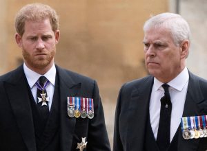 King Charles Wants to Ensure Princes Andrew and Harry Never Step In as Regents