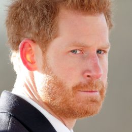 Royal System Was “Very Cruel to Spare” Prince Harry, Typecast as “the Court Jester,” Claims Expert