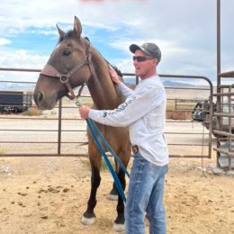 Mongo, a Utah Horse, is Reunited With Owner After Years of Running With Wild Mustangs: “It Didn’t Even Seem Real.”