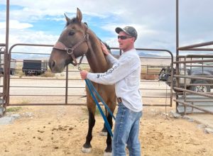 Mongo, a Utah Horse, is Reunited With Owner After Years of Running With Wild Mustangs: “It Didn’t Even Seem Real.”