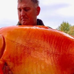 Man Caught a Gigantic 67-Pound Goldfish Nicknamed “The Carrot”