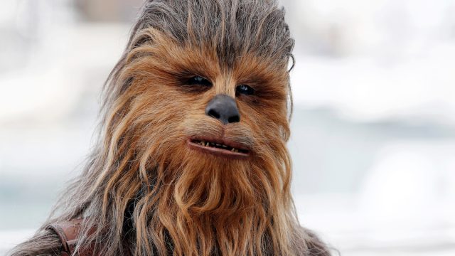 Cannes,,France, ,May,15:,Chewbacca,Attends,The,Photo call,Of