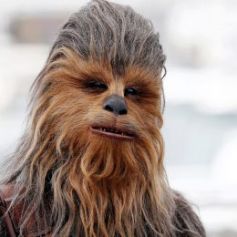 Florida Prosecutor Accuses Defense Attorney of Using “Chewbacca Defense” in a Federal Court Case