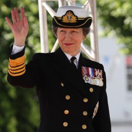 Princess Anne Could Reunite Harry and Charles