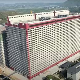 Sty-Scrapers: China is Planning a Series of 26-Story High-Rises for Pigs