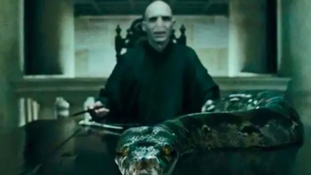 Voldemort 1