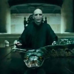 Scientists Discover New “Indestructible” Species And Name it After Lord Voldemort’s Snake From the “Harry Potter” Books