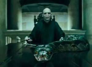 Scientists Discover New “Indestructible” Species And Name it After Lord Voldemort’s Snake From the “Harry Potter” Books