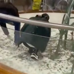 Shameless Thieves Jump Into Shopping Center Fountain to Steal Charity Donation Coins