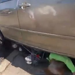 Hero Samaritans’ Quick Reaction Rescue 80-Year-Old Woman and 3-Year-Old Child Pinned By Driver Backing Out Of Parking Spot