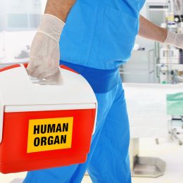 Woman Fined for Offering Her Liver to a Company Chairman in Exchange for Job for Son