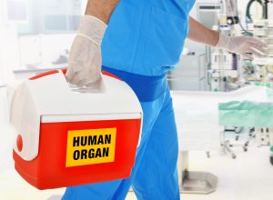 Woman Fined for Offering Her Liver to a Company Chairman in Exchange for Job for Son