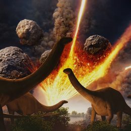 Dinosaurs Were Cut Down in Their Prime When Fatal Asteroid Hit Earth, New Study Reveals