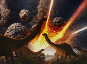 Dinosaurs Were Cut Down in Their Prime When Fatal Asteroid Hit Earth, New Study Reveals