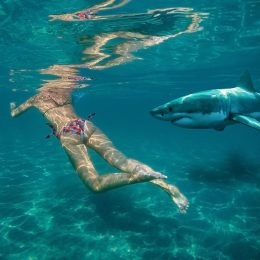 60-Year Old Woman Who Went Missing While Snorkeling With Husband in Hawaii “Was Probably Attacked by Aggressive Shark”