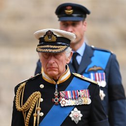 King Charles Begged William and Harry “Don’t Make My Final Years a Misery,” Duke Reveals