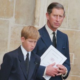 Prince Harry Reveals The Sad Way Charles Told Him That Diana Had Passed Away