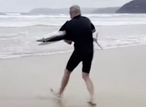 Scary Moment Hero Surfer Carries Stranded Shark Back out to Sea in His Arms. "What a Legend!"