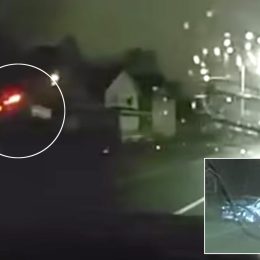 Bizarre Moment Drunk Driver’s Car Flies Through Air, Lands in Street, in Front of Michigan Police Office
