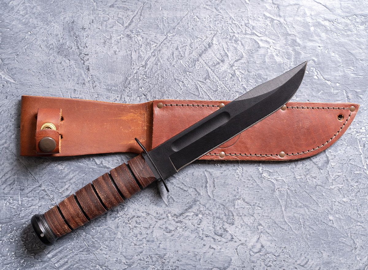 Newest Shocking Details in Bryan Kohberger Case