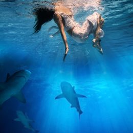 Couple Survives Two Days Adrift on Paddleboard In Shark-Infested Waters