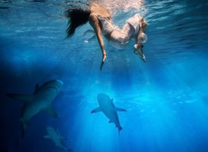 Couple Survives Two Days Adrift on Paddleboard In Shark-Infested Waters