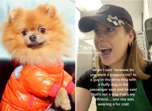 Starbucks Drive-Thru Worker Claims She Mistook a Woman for a Fluffy Dog While Taking an Order