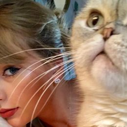 Taylor Swift’s Cat Olivia Benson Is the Third-Richest Pet In the World, With a Net Worth $97 Million. Here are the Top 10.