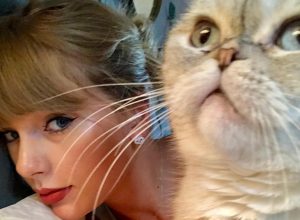 Taylor Swift’s Cat Olivia Benson Is the Third-Richest Pet In the World, With a Net Worth $97 Million. Here are the Top 10.