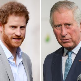 King Charles' Ruthless Snub to Harry: Expert