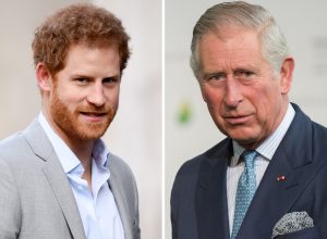 King Charles' Ruthless Snub to Harry: Expert