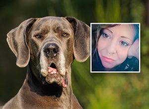 Mother Mauled to Death by Great Danes