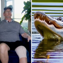 Florida Man Bitten by 9-Foot Alligator That Was Waiting for Him on His Porch