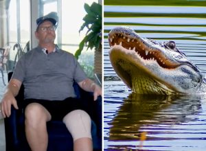 Florida Man Bitten by 9-Foot Alligator That Was Waiting for Him on His Porch