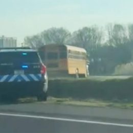 Bizarre Police Chase Ends With Man Nabbed