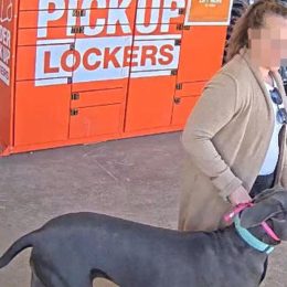 Giant Dog Mauls Home Depot Customer’s Face, Resulting in Surgery