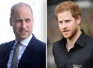 Prince Harry Says William Used "Secret Code"
