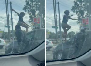 Florida Woman Goes on a Rampage