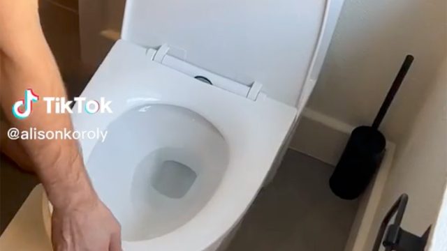 Toilet_seat_dishwasher_hack3