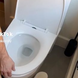 Wife's Bizarre Toilet Seat Cleaning Method