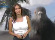Meteorologist Startled by Pigeon