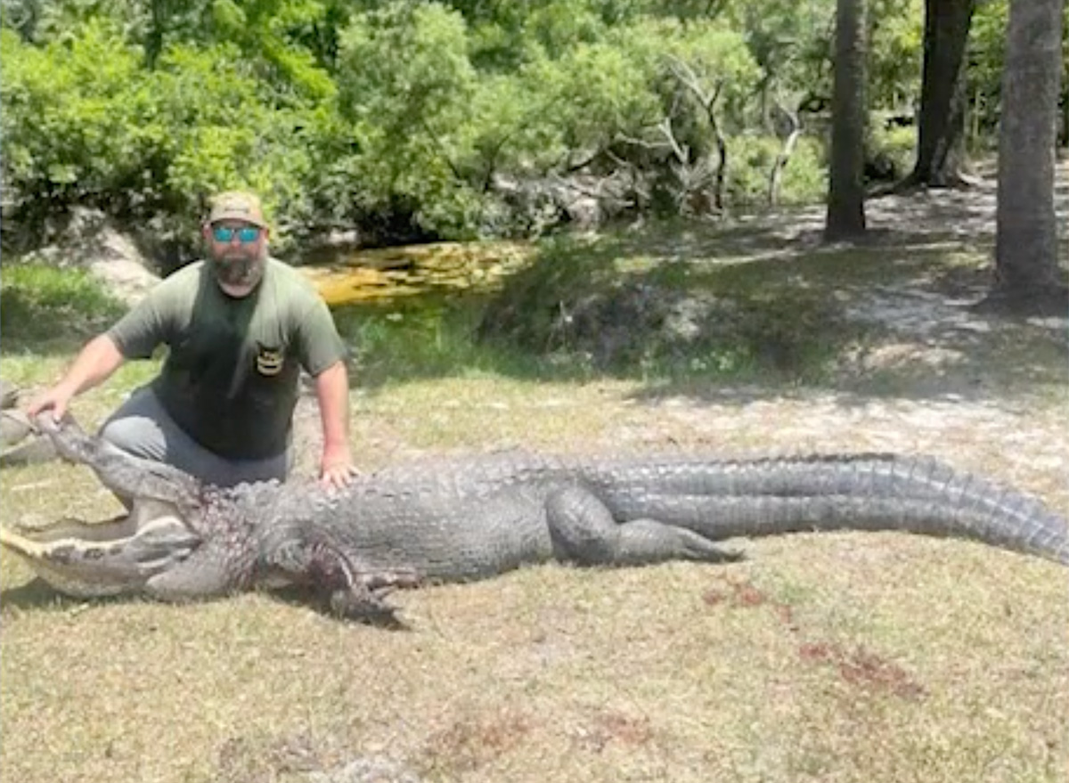Dog Attacked by Massive 12-Foot Alligator