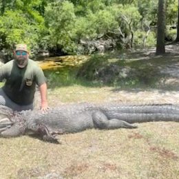 Dog Attacked by Massive 12-Foot Alligator