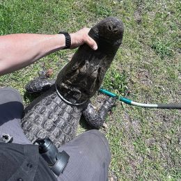 9-Foot Alligator Surprises Man